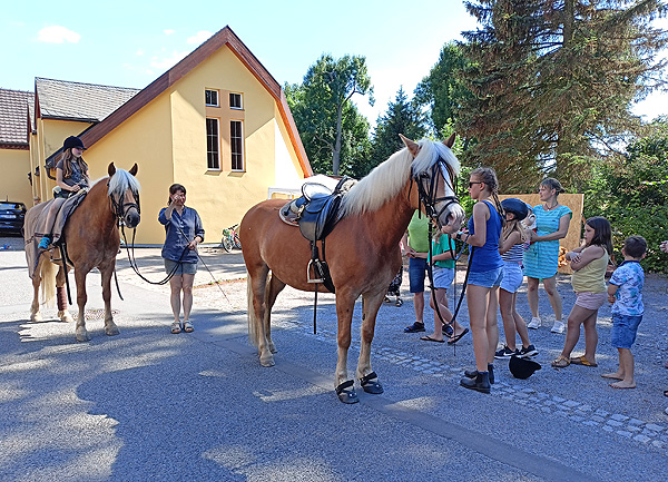 Reiten